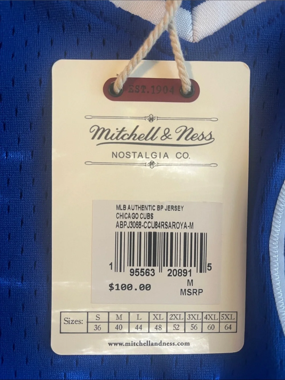 Mitchell & Ness Chicago Cubs Cooperstown Collection BP Jersey Size M #23 NWT - Picture 4 of 7